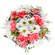 Bursting with vitality, this bouquet artfully blends white daisies with lively green centres and plush, coral-pink carnations, all beautifully arranged by local florists near Northwood Hills. The round, overhead composition is softened by wisps of frothy gypsophila and luminous eucalyptus leaves, which infuse the bouquet with gentle movement and a whisper of woodland fragrance-evocative of walks through Haste Hill. Subtle accents of closed alstroemeria buds, tinged with blush and violet, add depth and anticipation, while the rich green foliage frames and uplifts each bloom. Every detail, from the crisp contrast of petals to the feathery textures, radiates warmth and optimism. Perfect for marking congratulations, expressing heartfelt appreciation, or simply brightening a home on a quiet Northwood street, this expertly designed floral display is a tribute to the town's calm beauty and the art of thoughtful gifting.